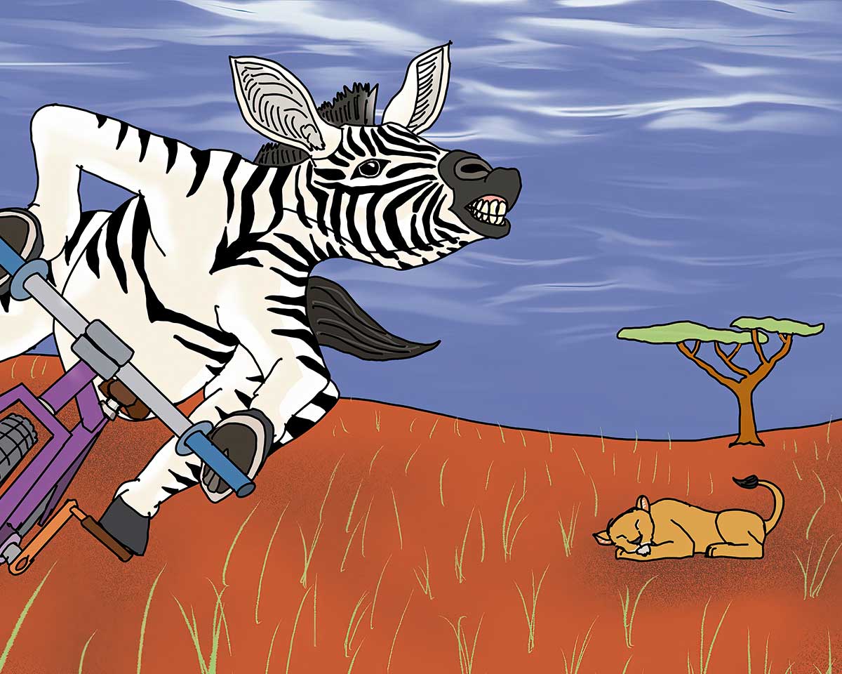 Zebra Riding a Bike - Fine Art Print
