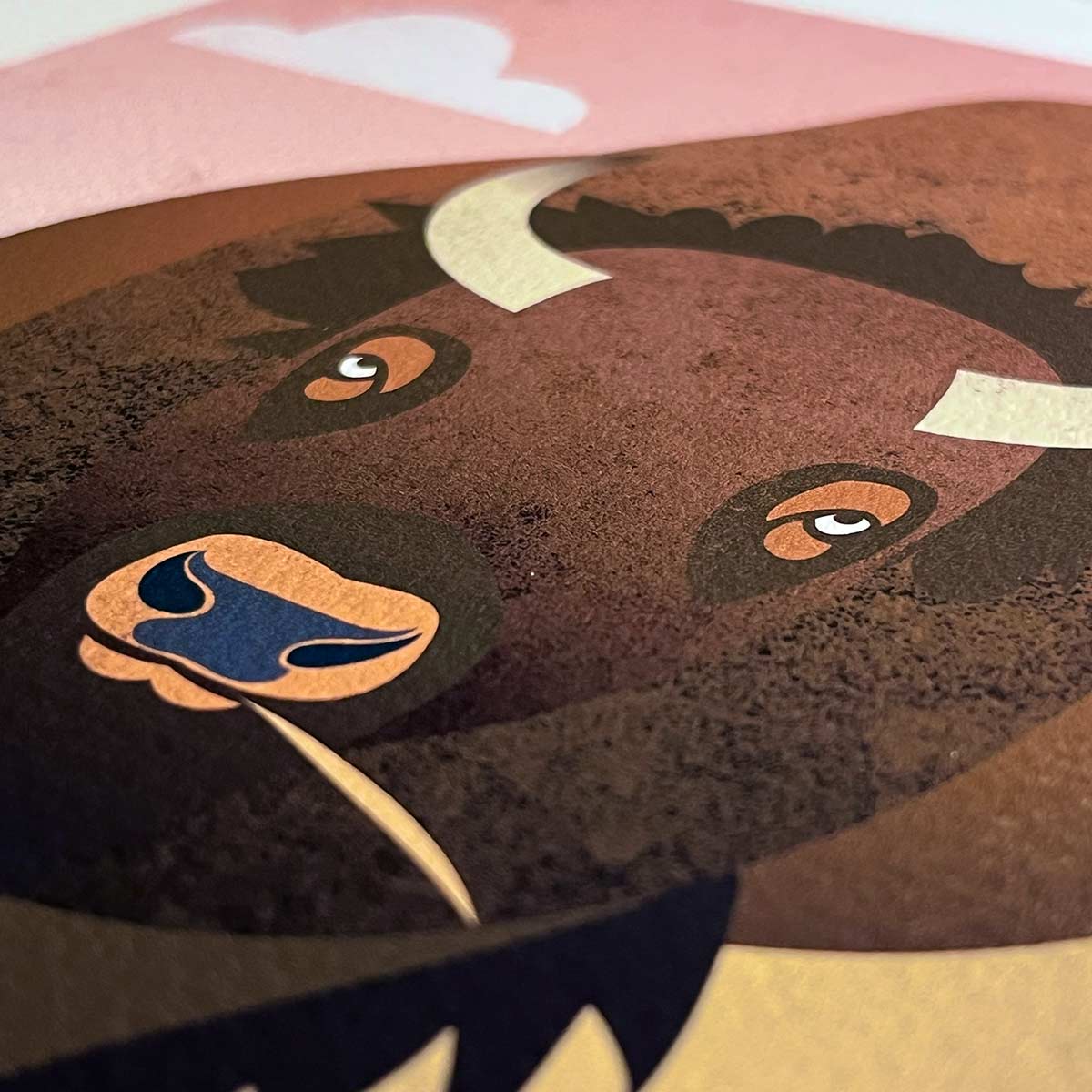 Bison Plains Fine Art Print