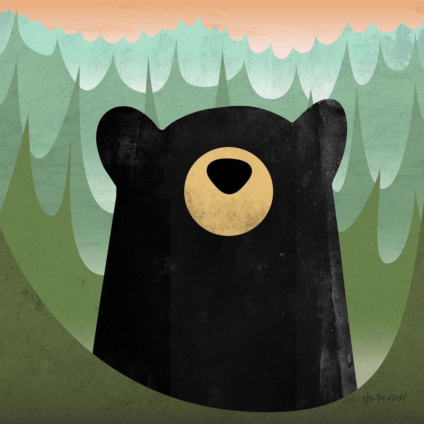Black Bear Canvas Print