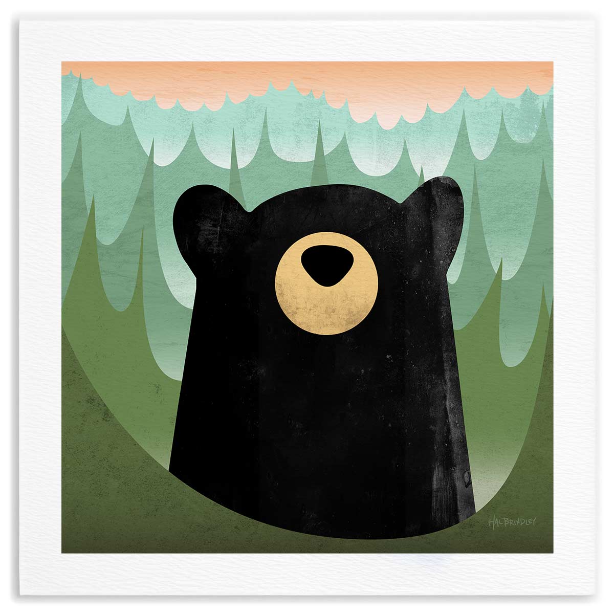 Black Bear Fine Art Print