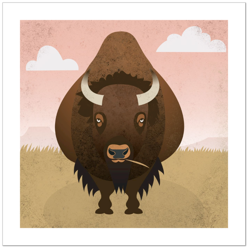 Bison Plains Fine Art Print