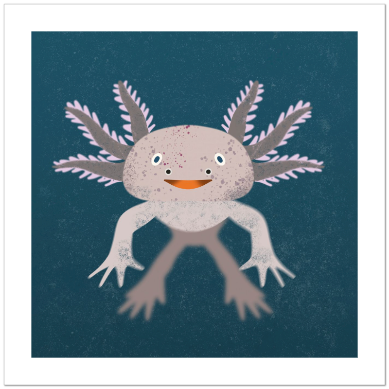 Axolotl Fine Art Print