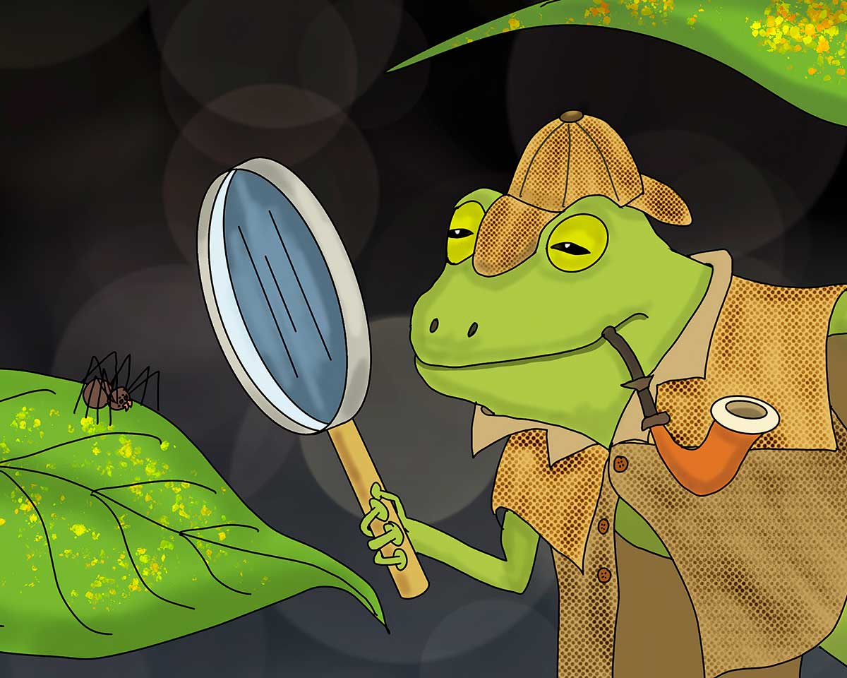 Frog Detective - Fine Art Print