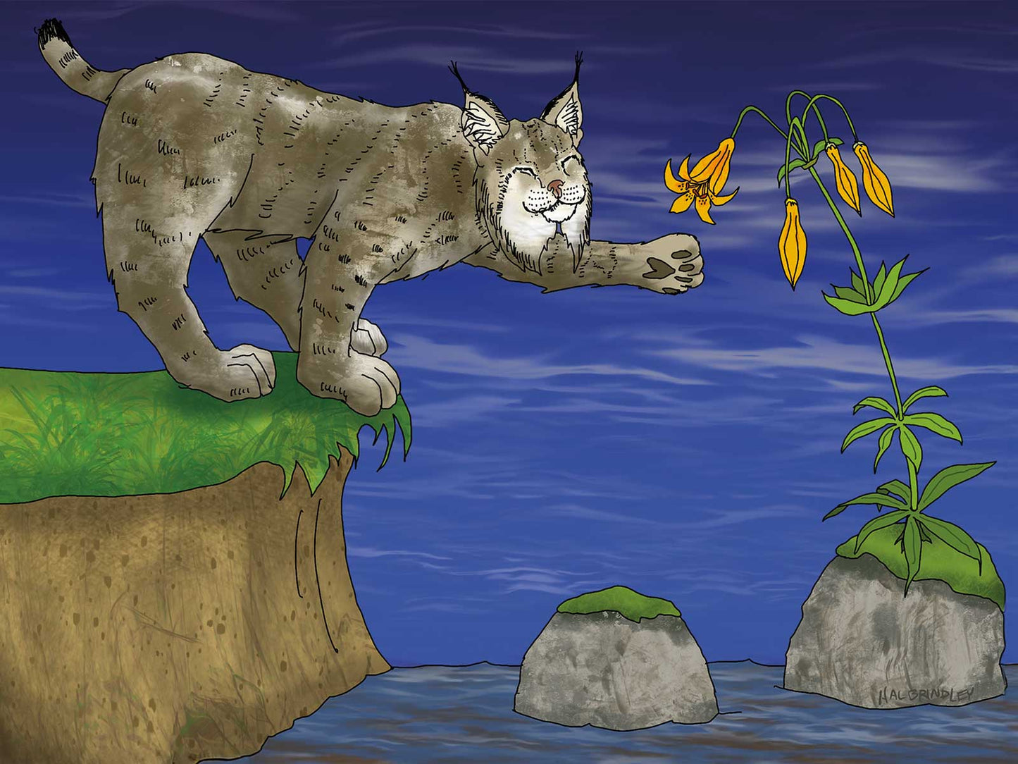 Lynx Lily Note Card