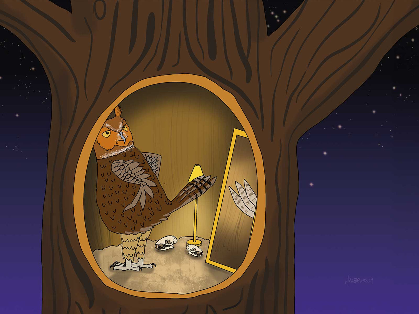 Owl Mirror Note Card