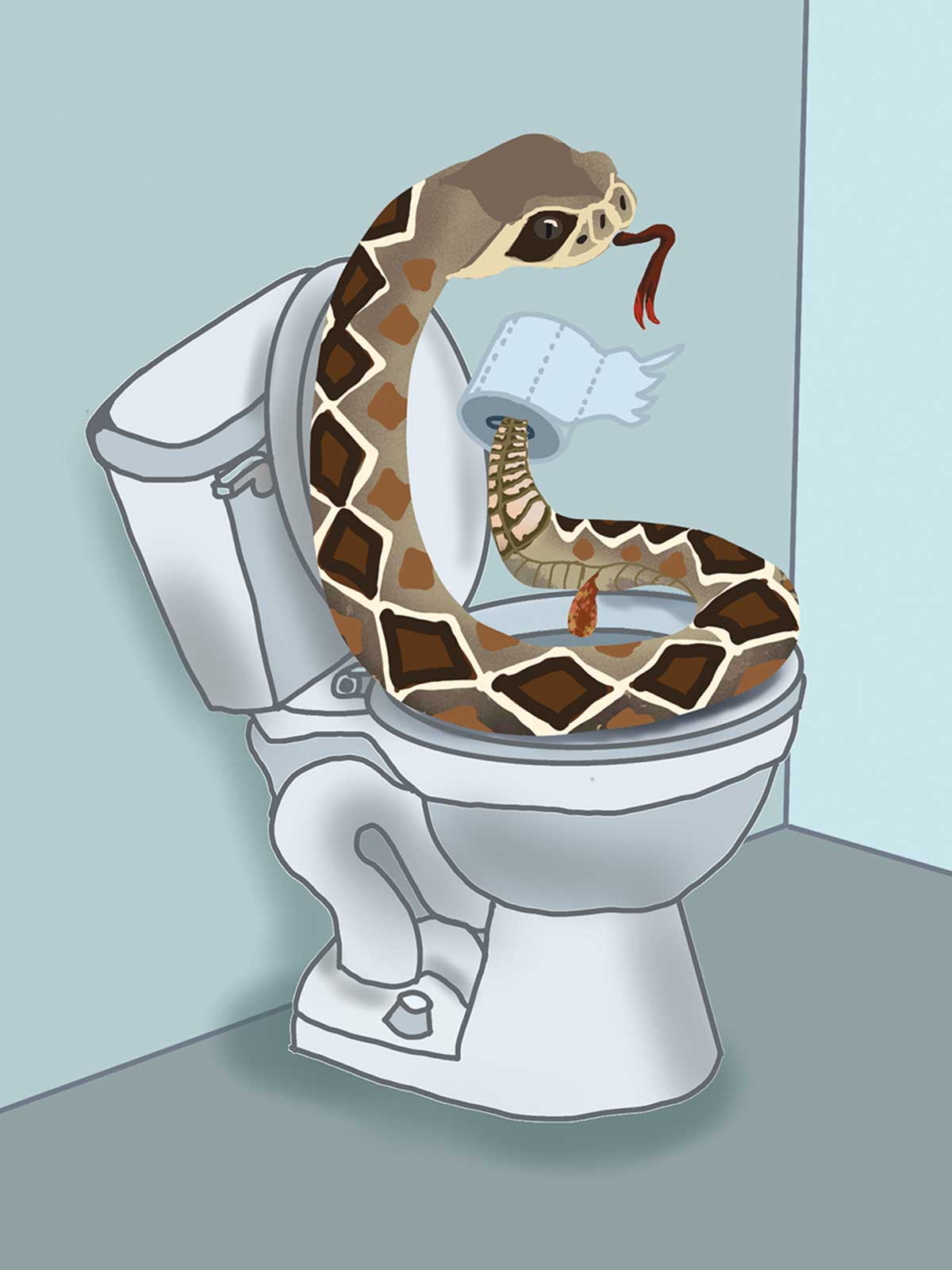 Rattlesnake on a Toilet Note Card
