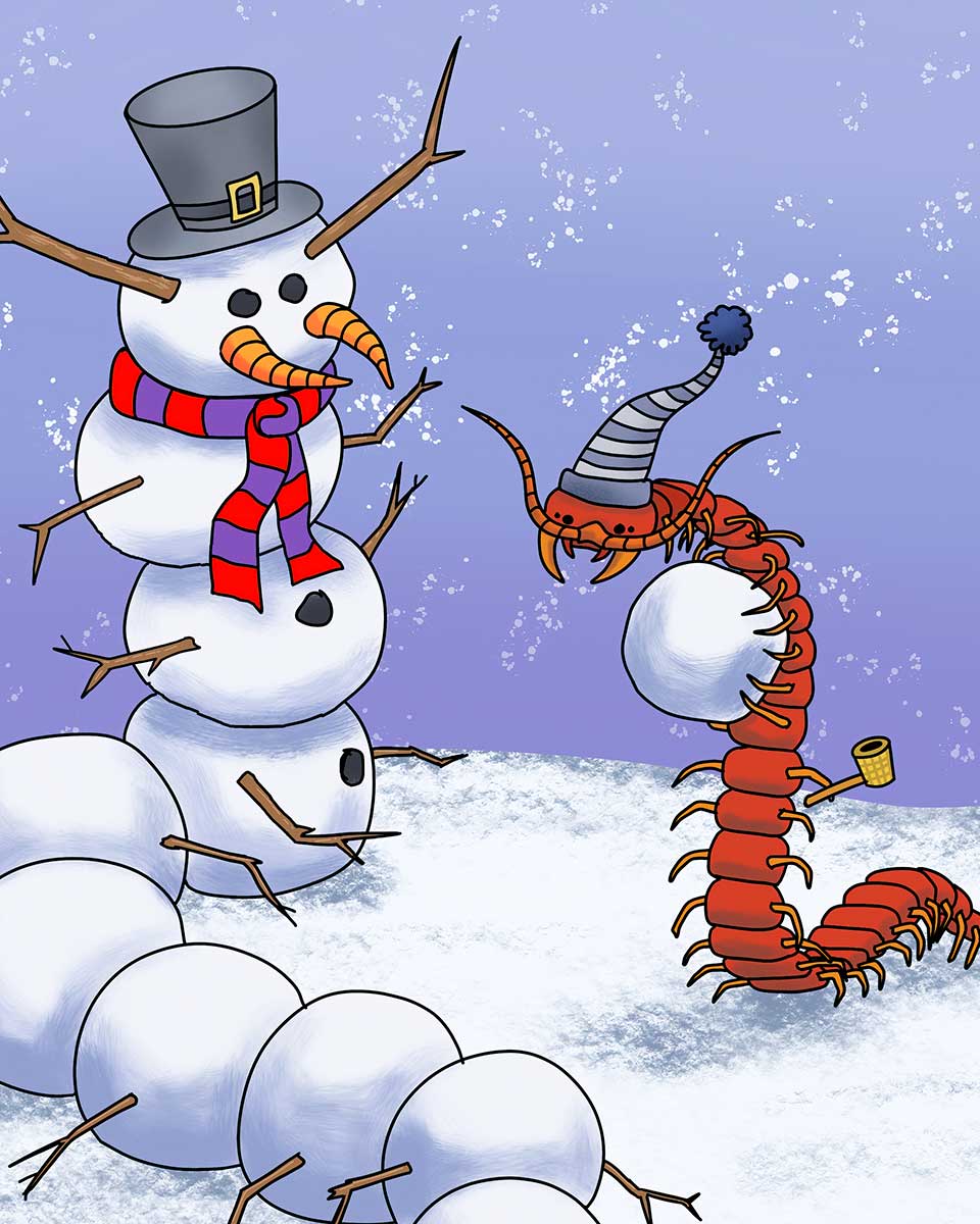 Centipede Snowman - Fine Art Print