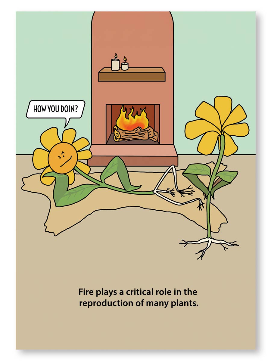 Fire Plants Note Card