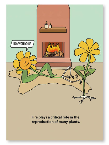 Fire Plants Note Card