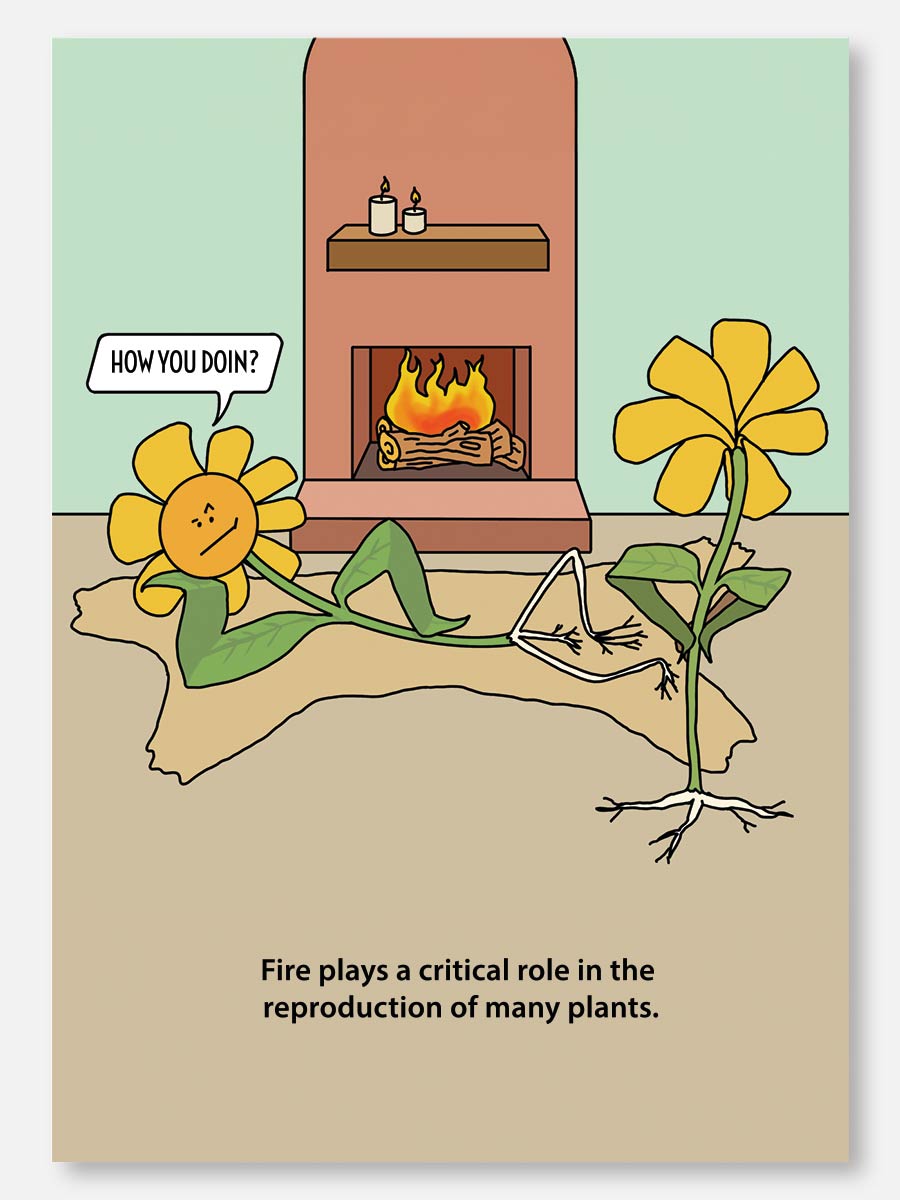 Fire Plants Note Card