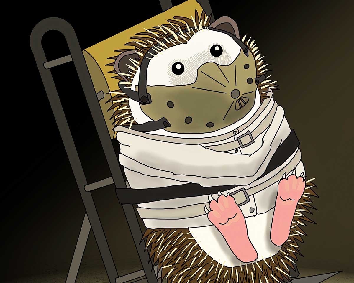 Hedgehog Hannibal - Fine Art Print