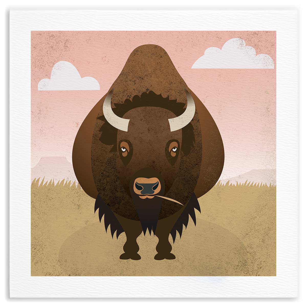 Bison Plains Fine Art Print