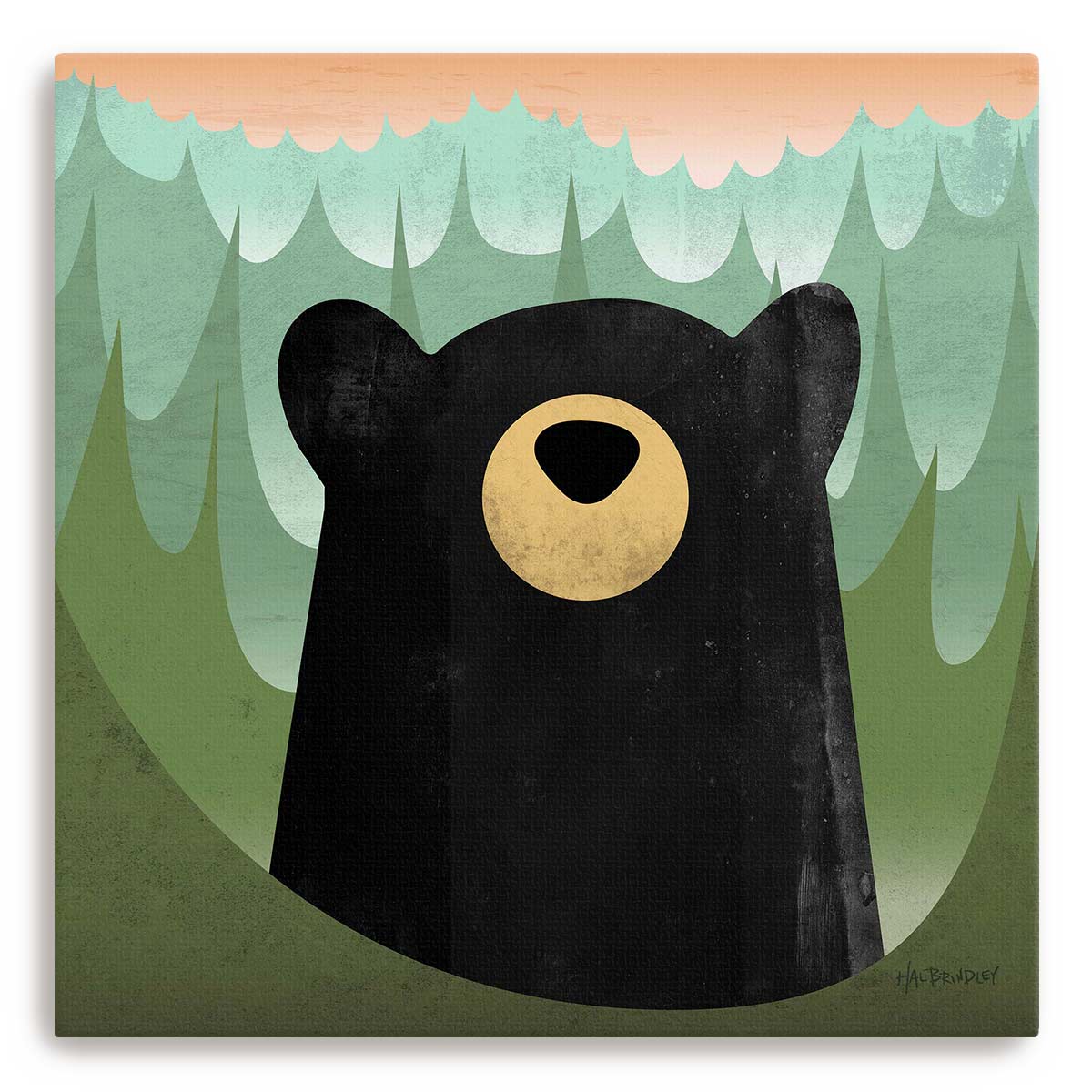 Black Bear Canvas Print