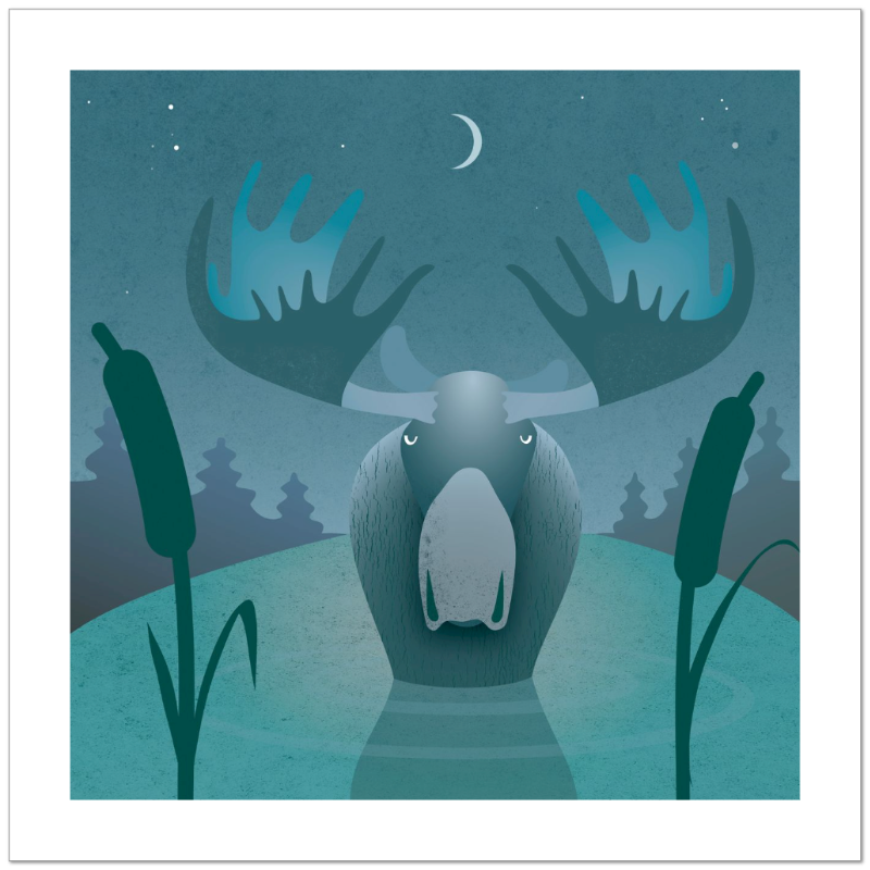 Moose Lake Fine Art Print