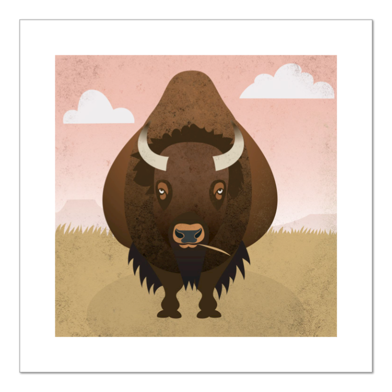 Bison Plains Fine Art Print