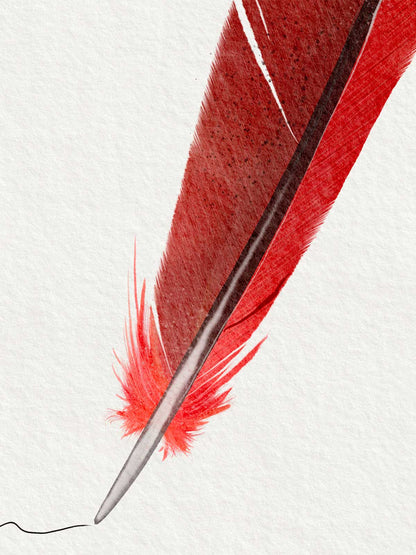 Cardinal Feather I Love You Note Card