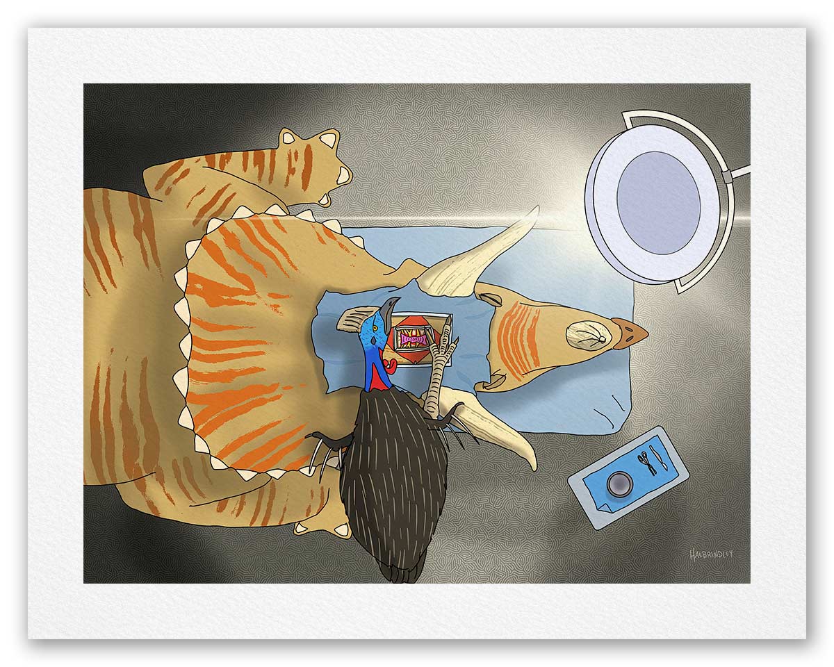 Cassowary Brain Surgery on Triceratops - Fine Art Print