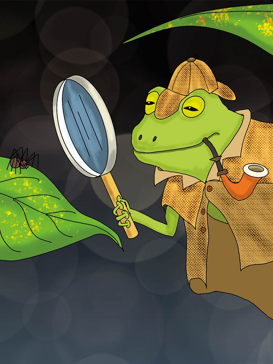 Frog Detective Note Card