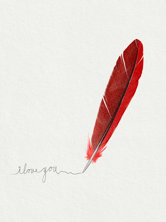 Cardinal Feather I Love You Note Card