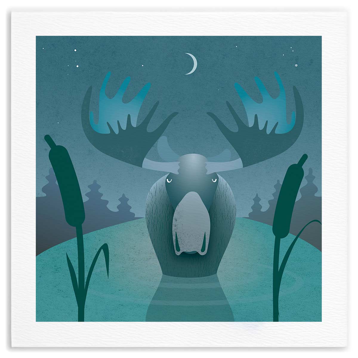 Moose Lake Fine Art Print