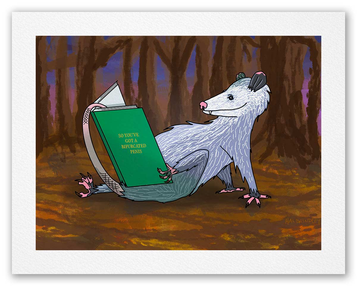 Opossum Reading a Book - Fine Art Print