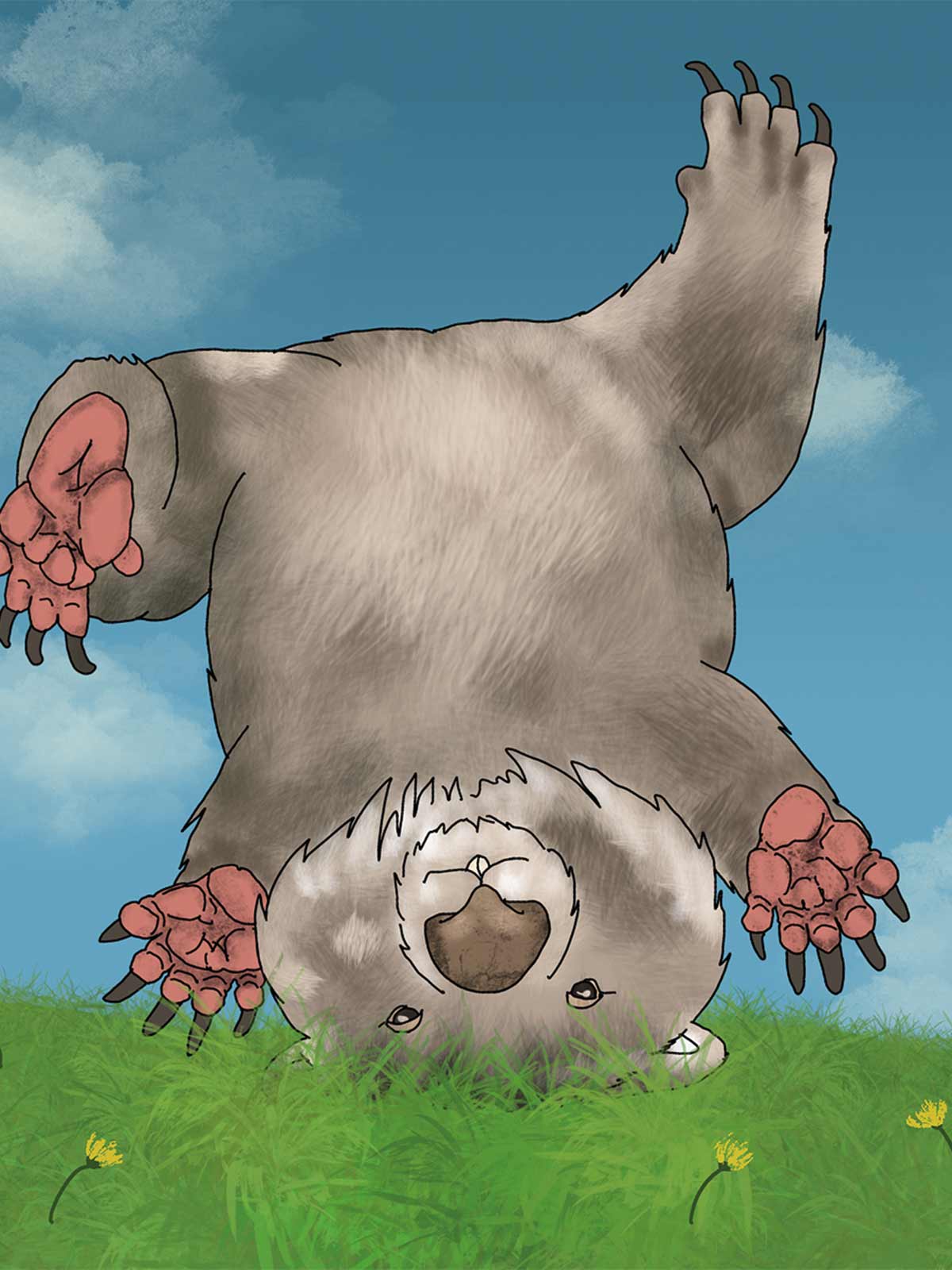 Wombat Cartwheel Note Card