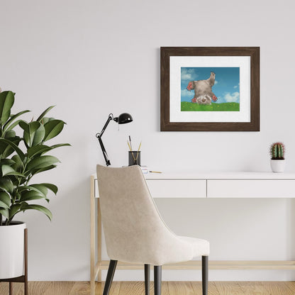 Wombat Cartwheel - Fine Art Print