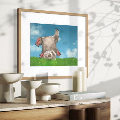Wombat Cartwheel - Fine Art Print