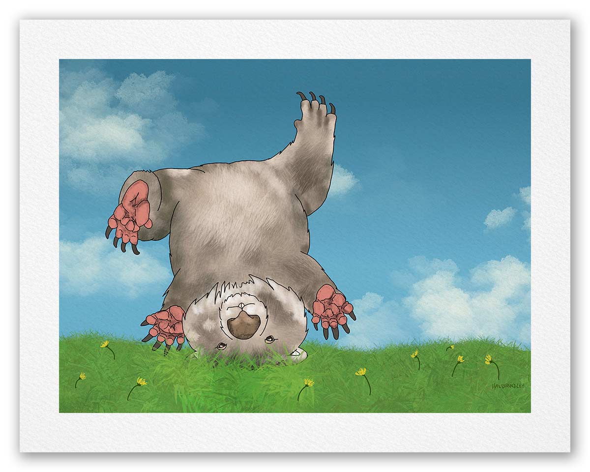Wombat Cartwheel - Fine Art Print