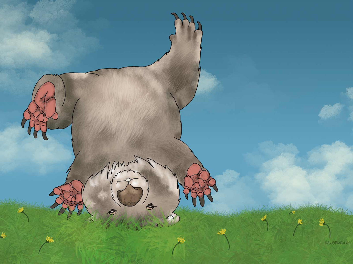 Wombat Cartwheel Note Card